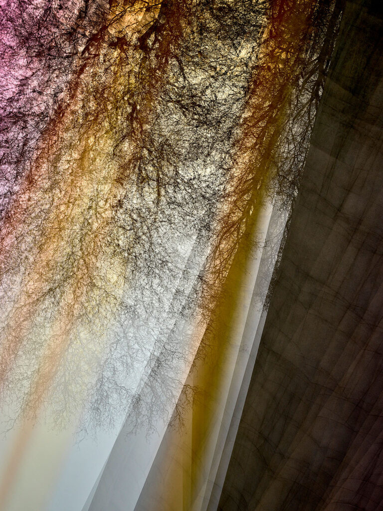 VEIN 0201-013