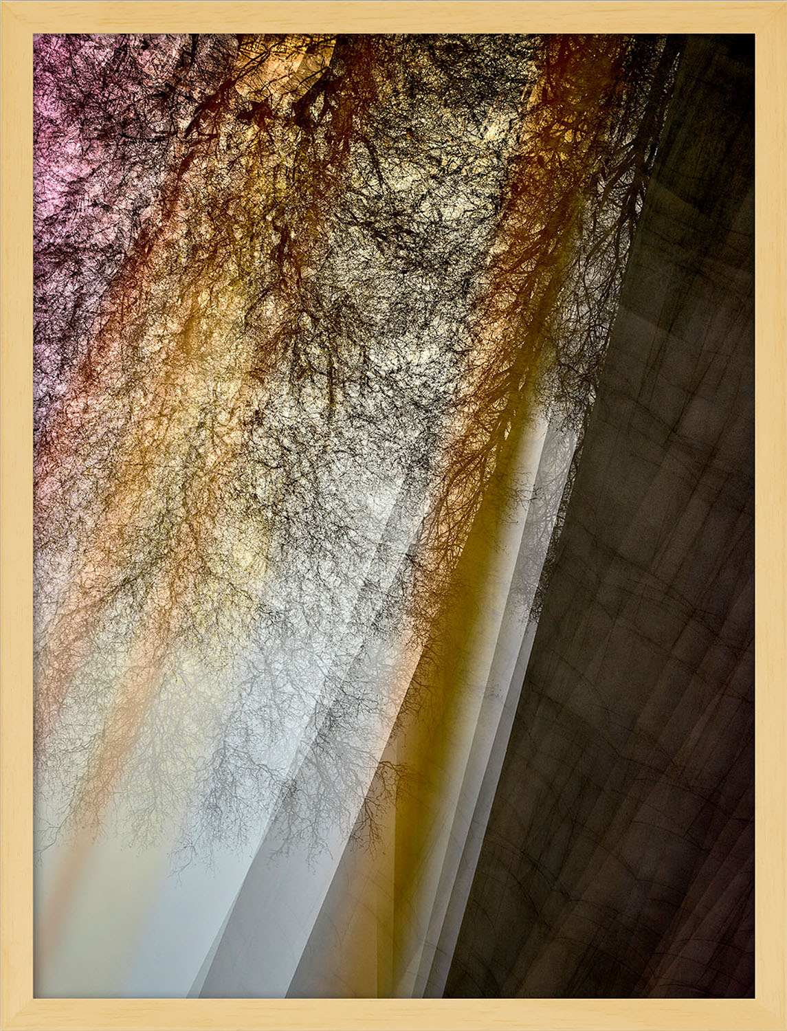 VEIN 0201-013