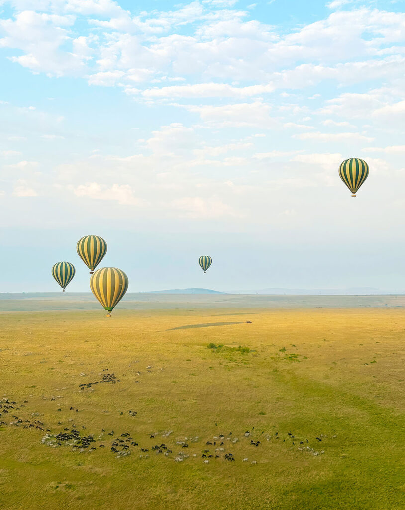 Hot Air Balloon Ride at Dawn